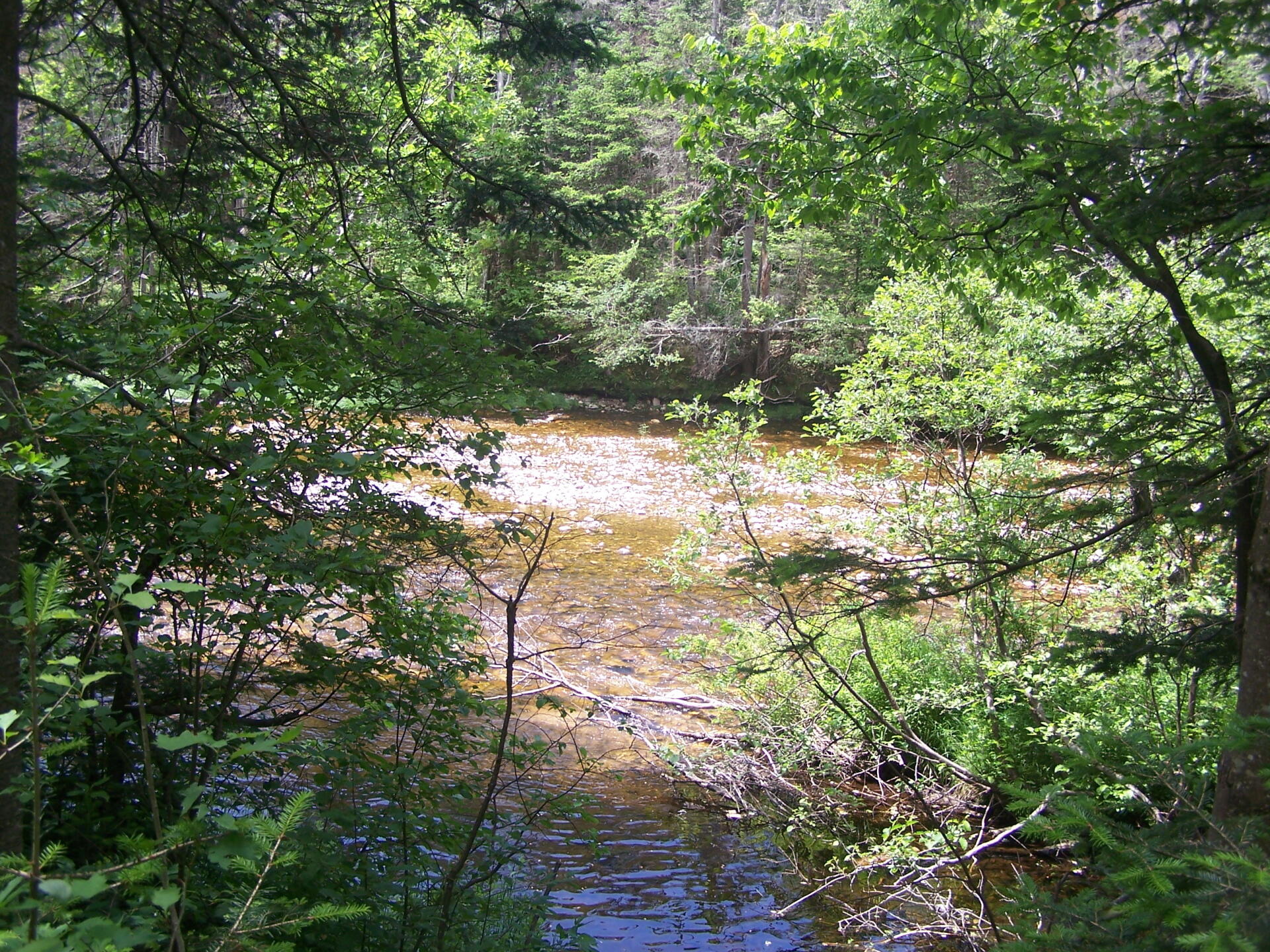 Photo Deerfield River As Seen from Airfield Camping Area Andy