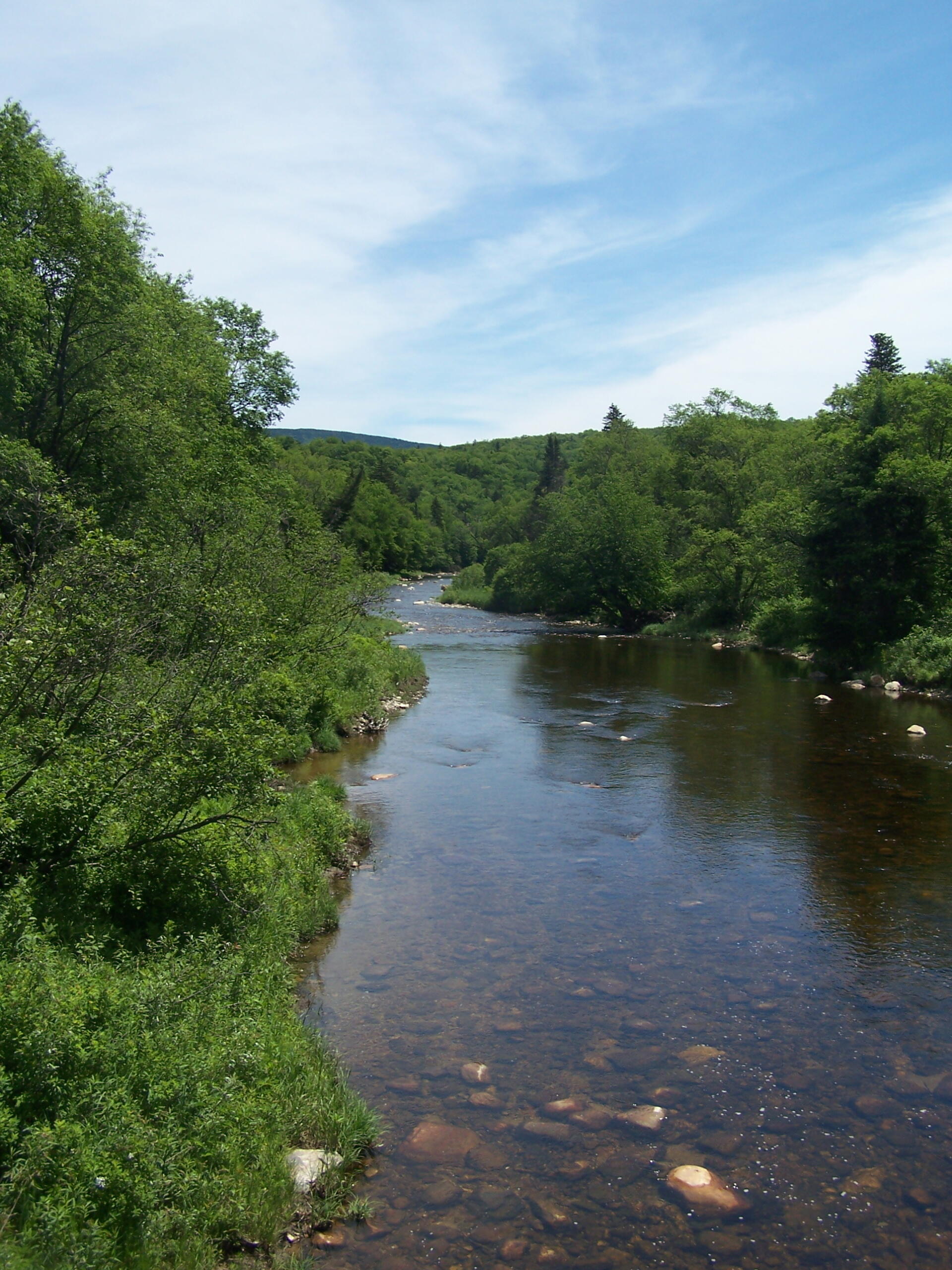 Photo South Branch of Deerfield River (Looking East from Bridge