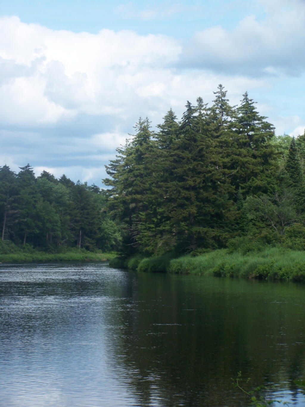 Kayaking Woodhull Lake Andy