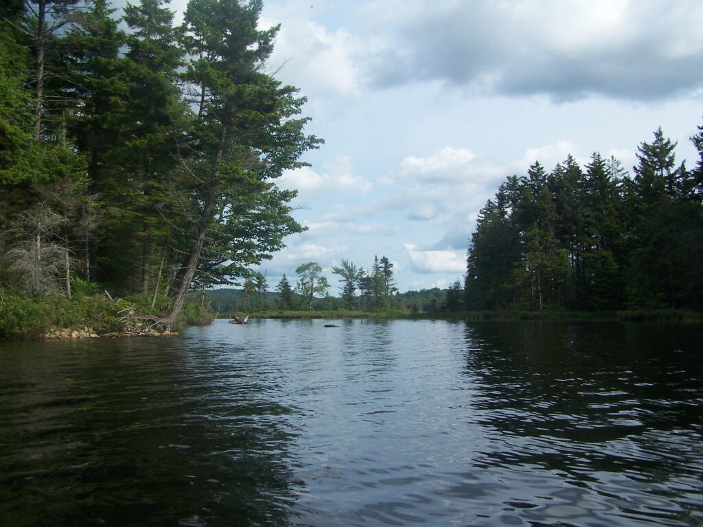 Kayaking Woodhull Lake Andy