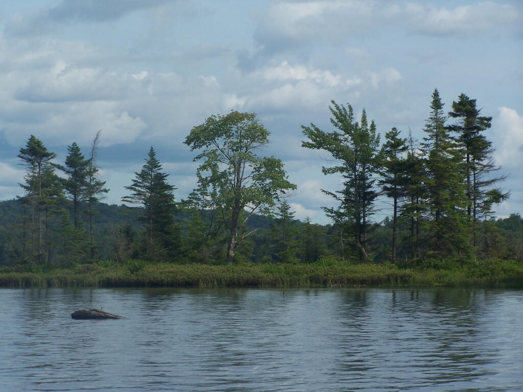 Woodhull Lake Reservior Andy