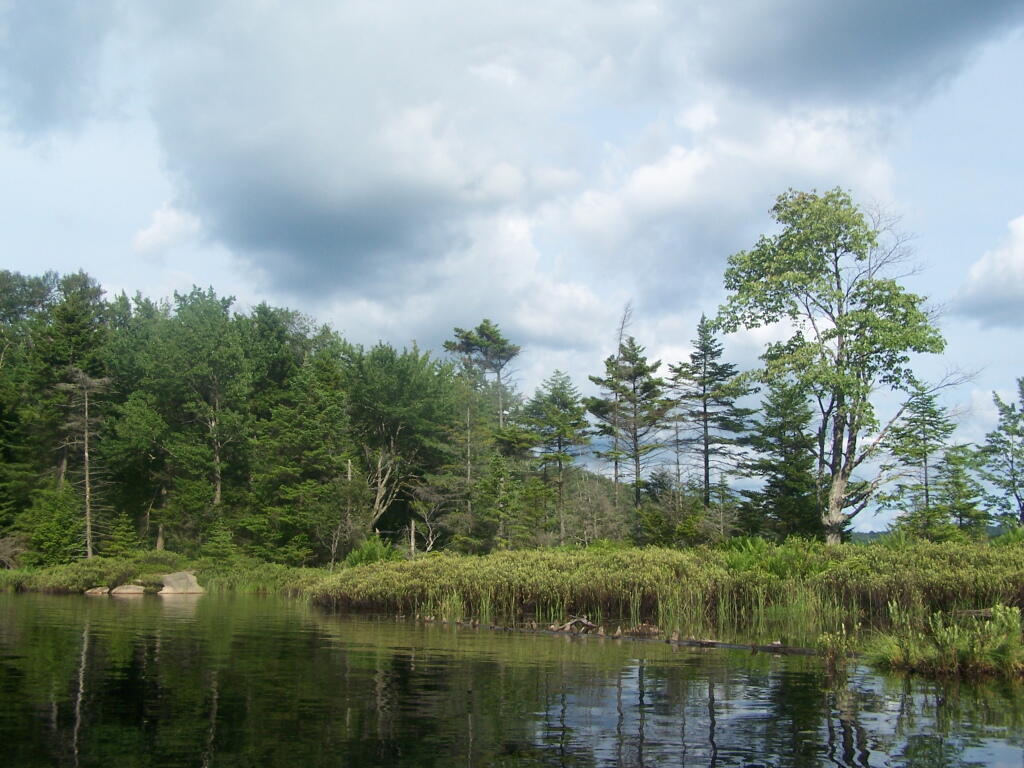 Kayaking Woodhull Lake Andy