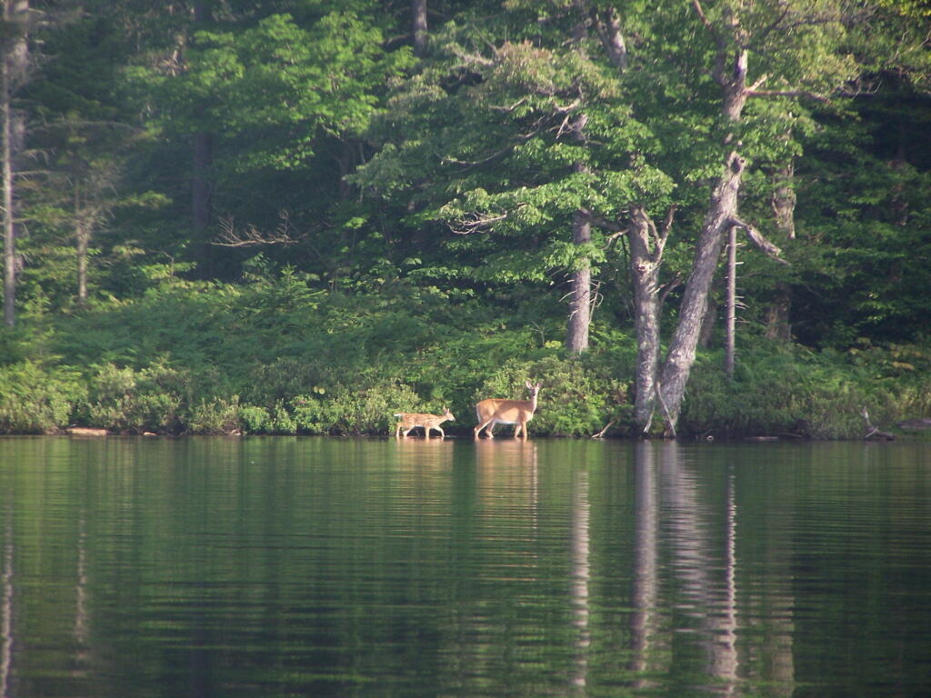 Woodhull Lake Reservior Maps, Photos, Videos, Aerial Photography