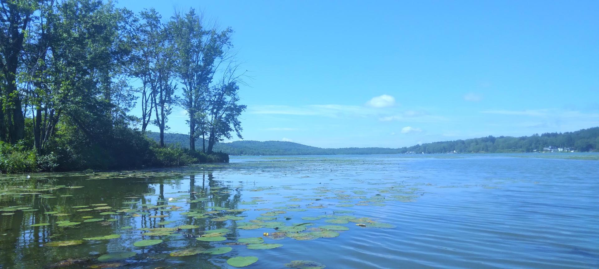 Photo Cayuta Lake from the Inlet Andy