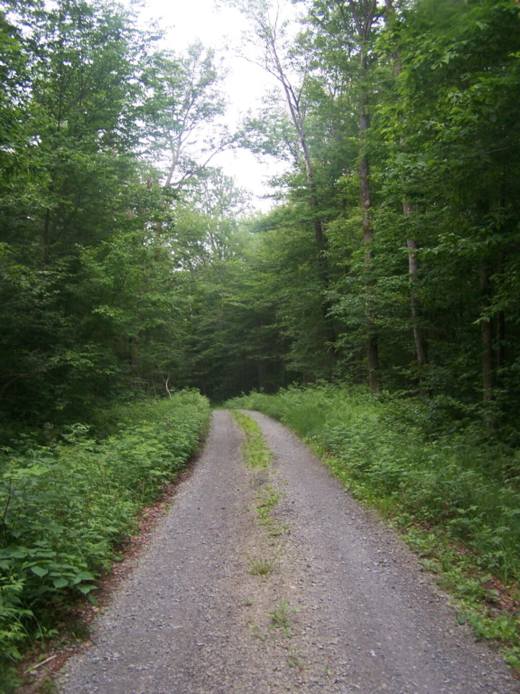 Photo Wolf Lake Landing Road Andy