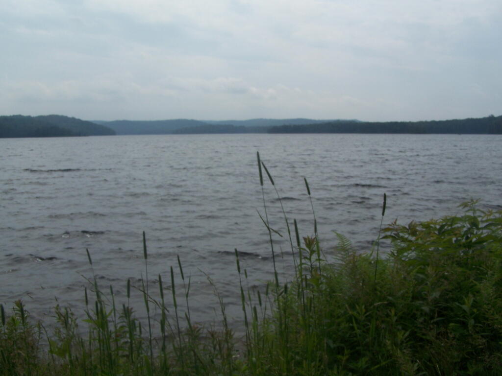 Photo Woodhull Lake on a Cloudy, Rainy Day Andy