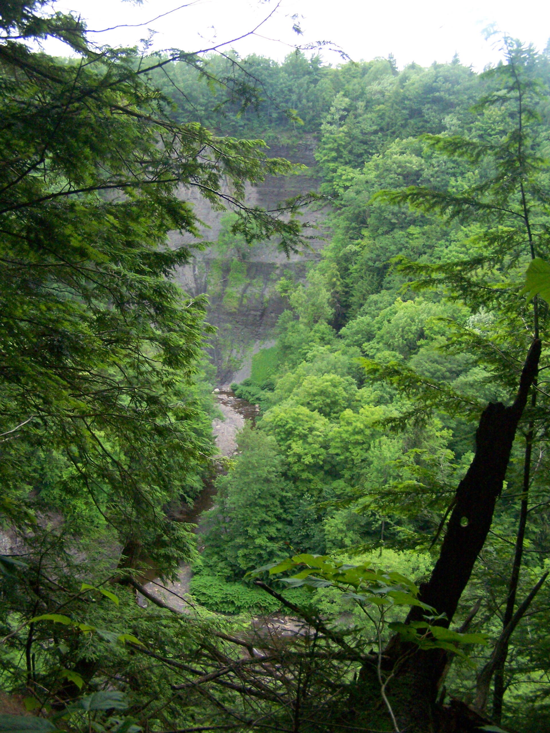 Tug Hill State Forest Maps, Photos, Videos, Aerial Photography