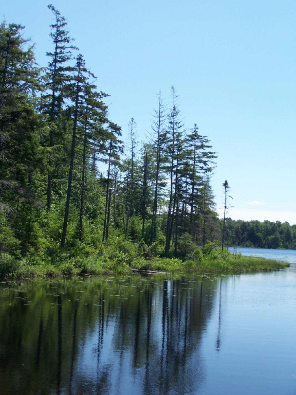Photo Edge of Streeter Lake Andy
