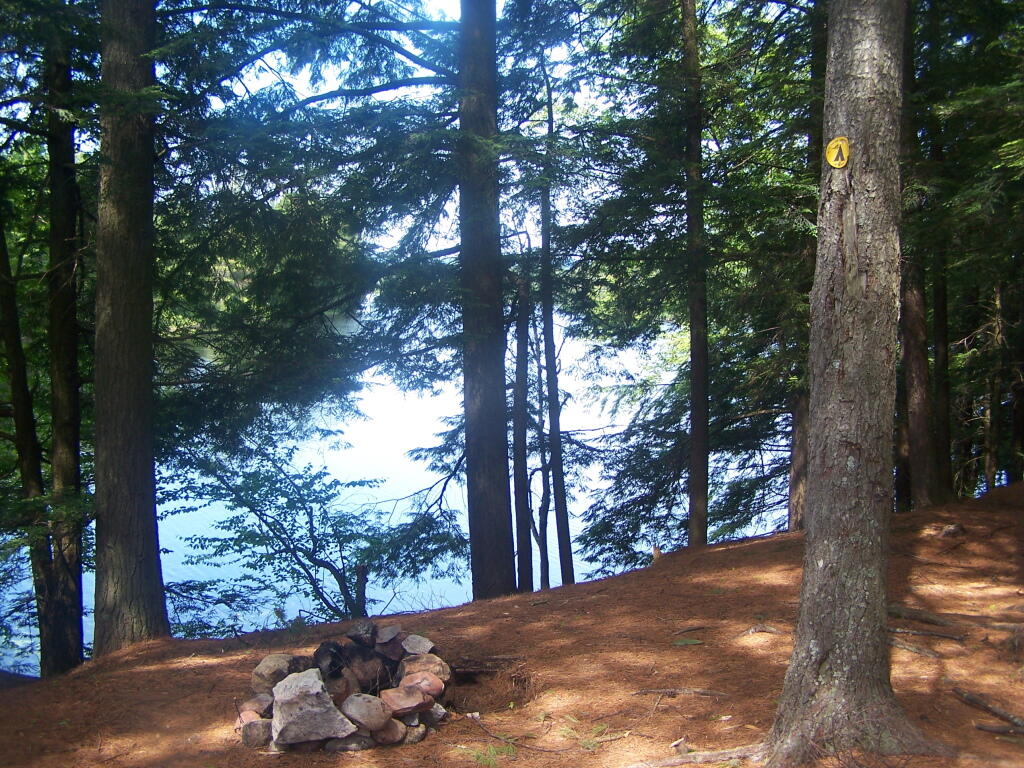 Photo Designated Campsite on Floodwood Pond Andy