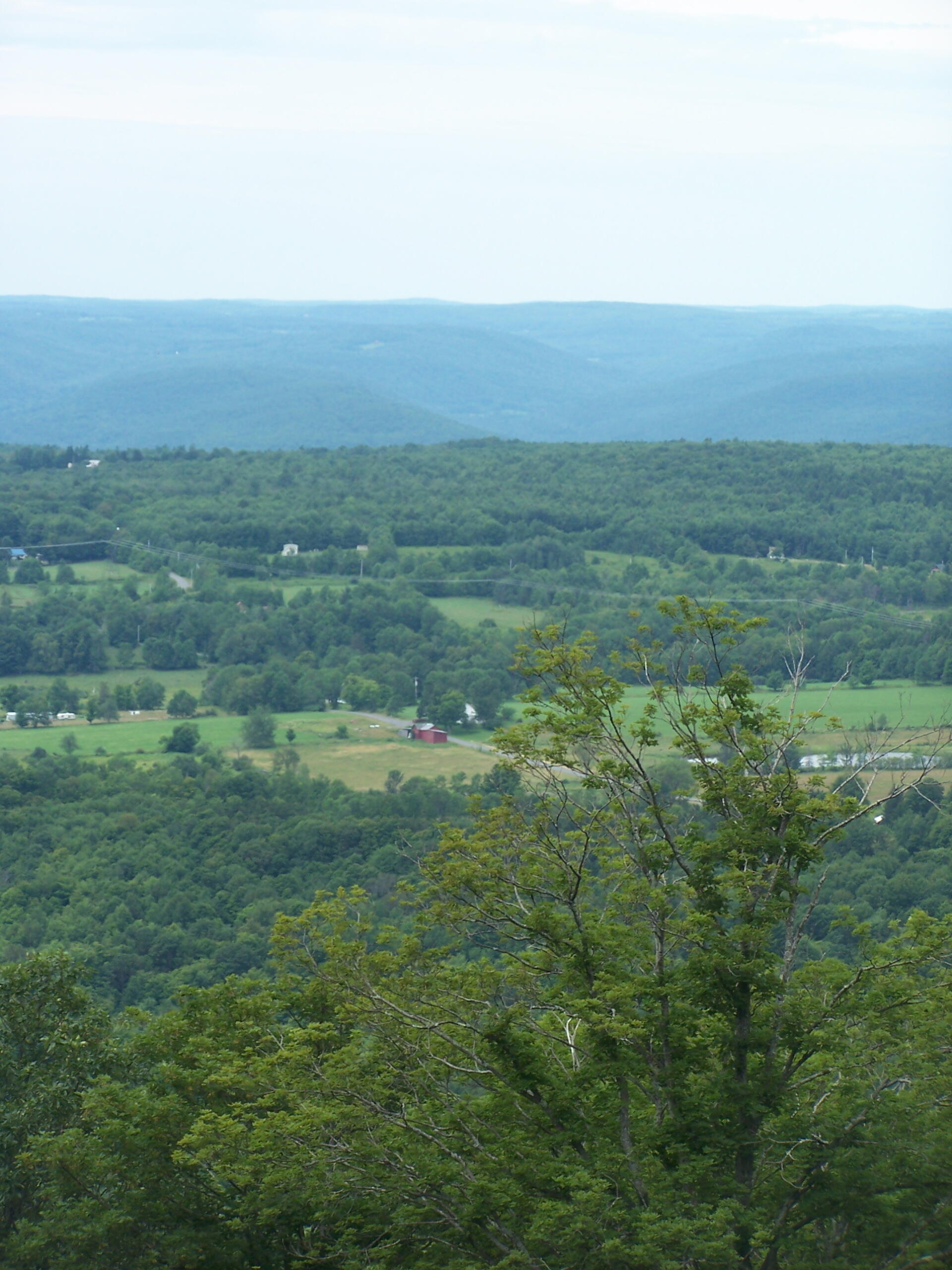 Leonard Hill State Forest Maps, Photos, Videos, Aerial Photography