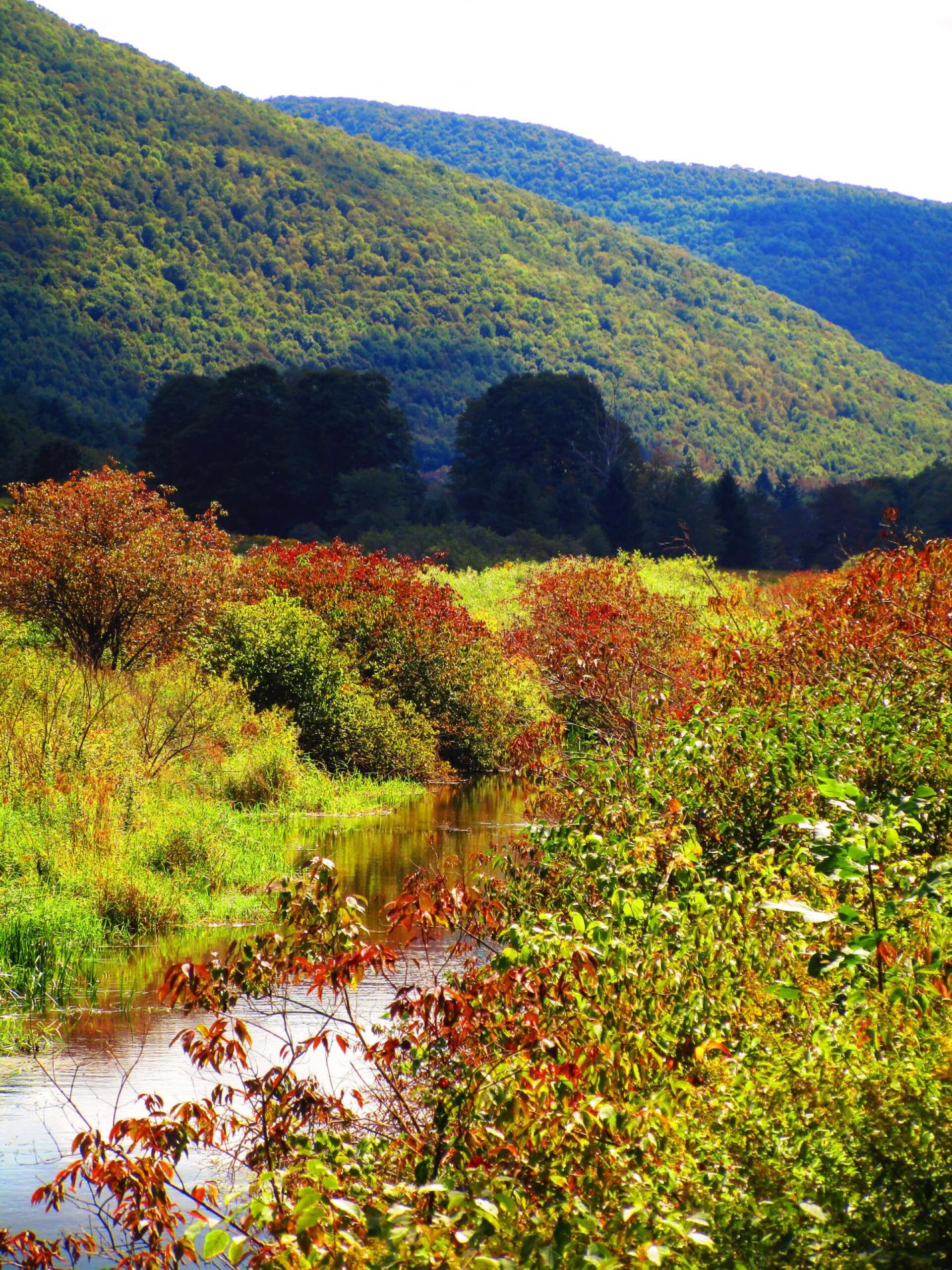Photo East Branch Delaware River Andy