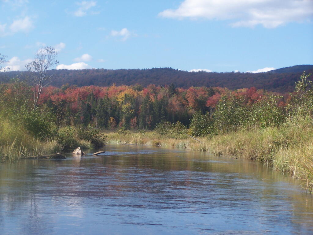 Moose River Plains Andy