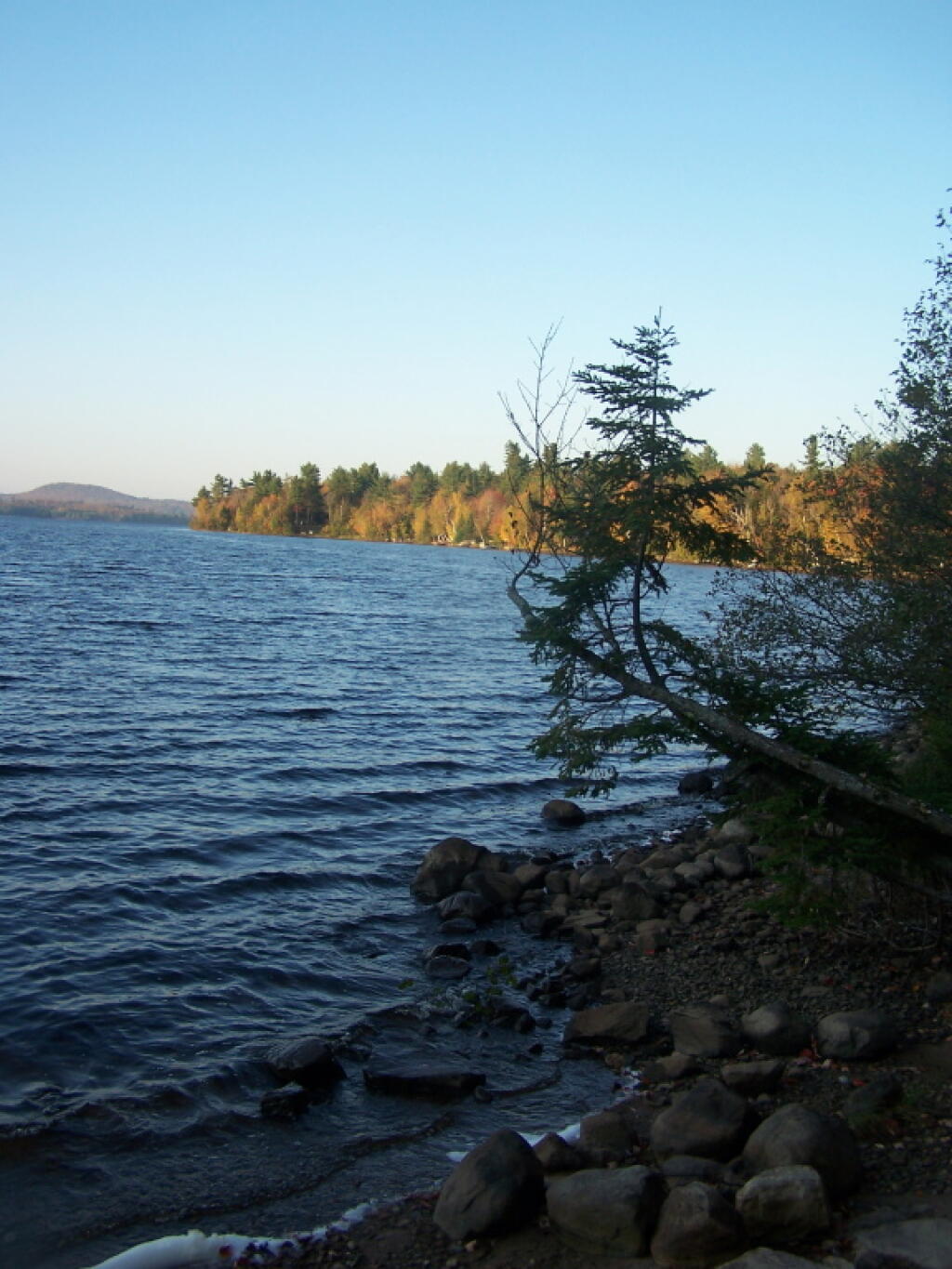 Photo Shoreline of Union Falls Pond Andy