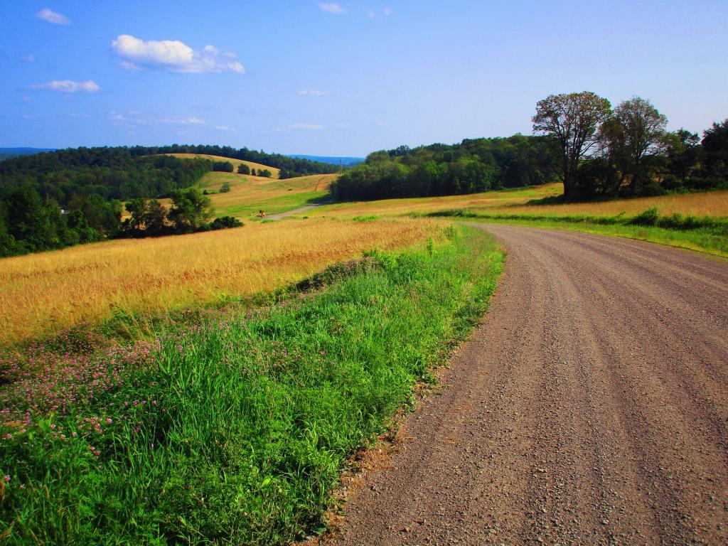 Glenmont, NY Maps, Photos, Videos, Aerial Photography, Charts Andy