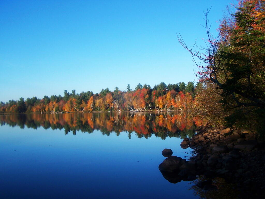 Union Falls Pond Andy