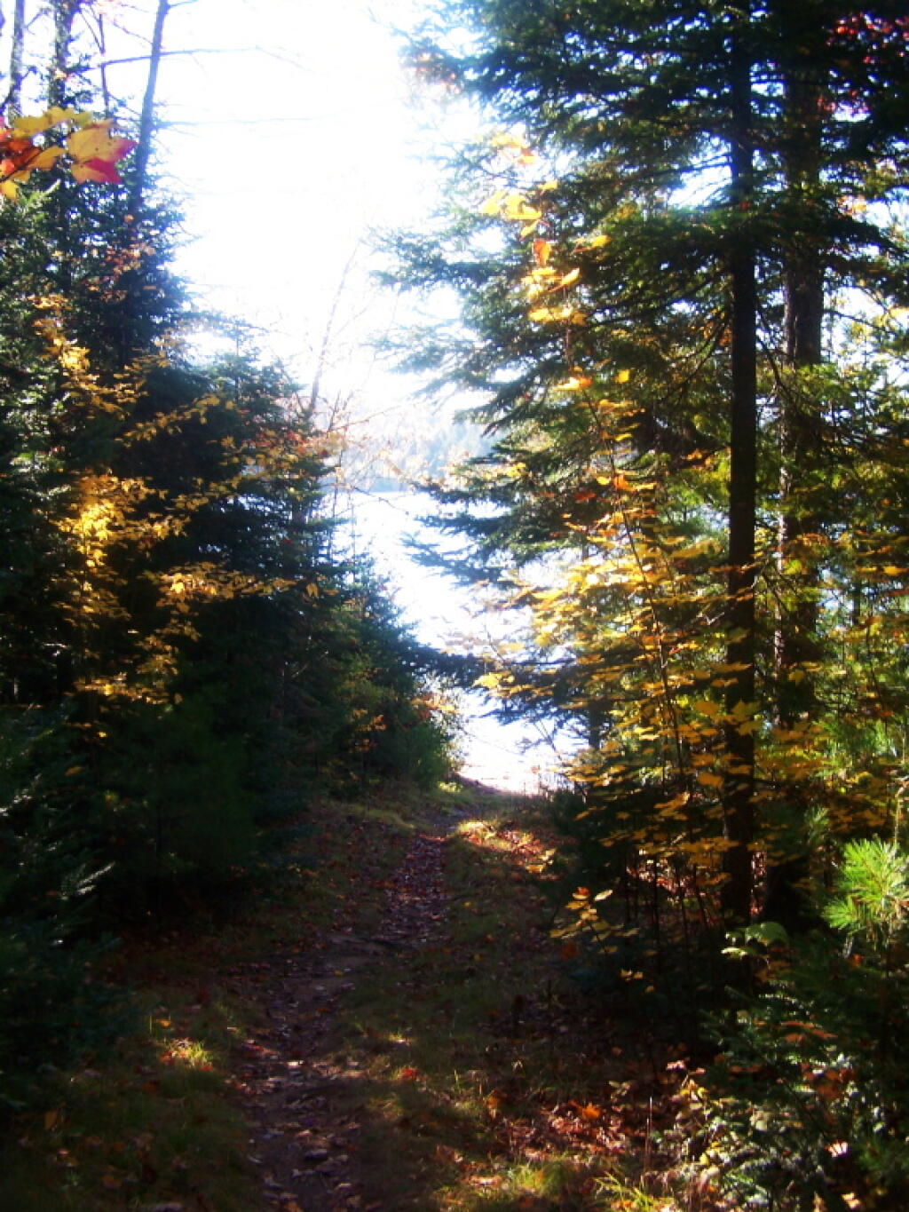 Union Falls Pond Andy