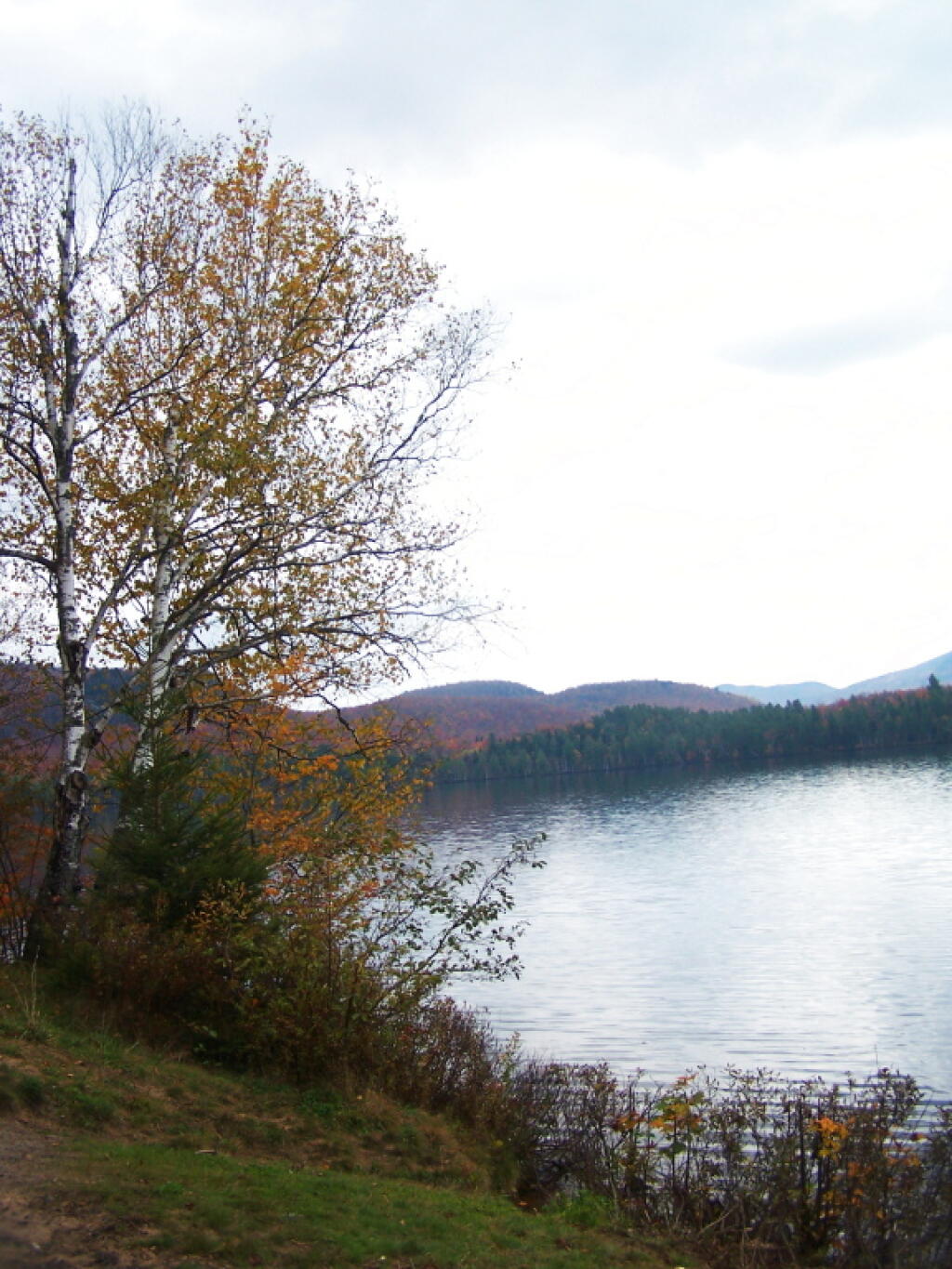 Lake Kushaqua Maps, Photos, Videos, Aerial Photography, Charts Andy