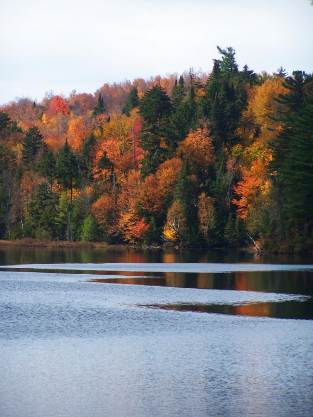 Lake Kushaqua Maps, Photos, Videos, Aerial Photography, Charts Andy