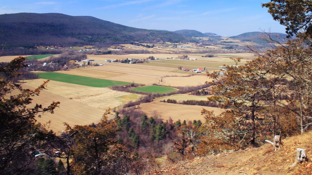 Middleburgh Cliff Andy