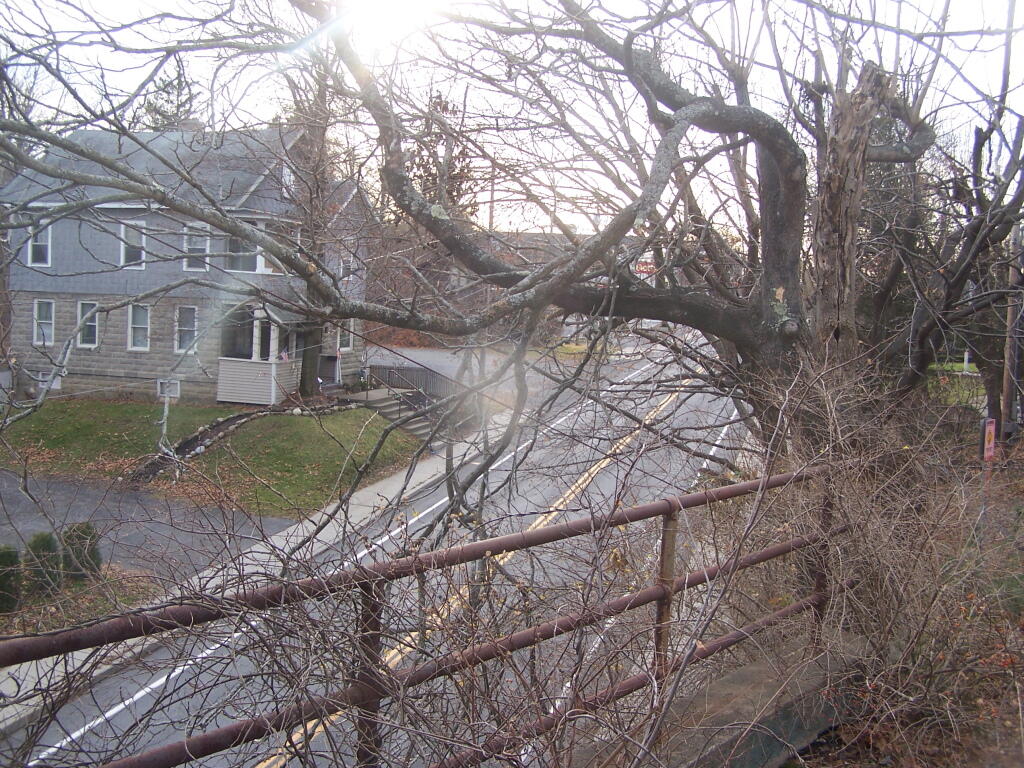 Delmar, New York Andy