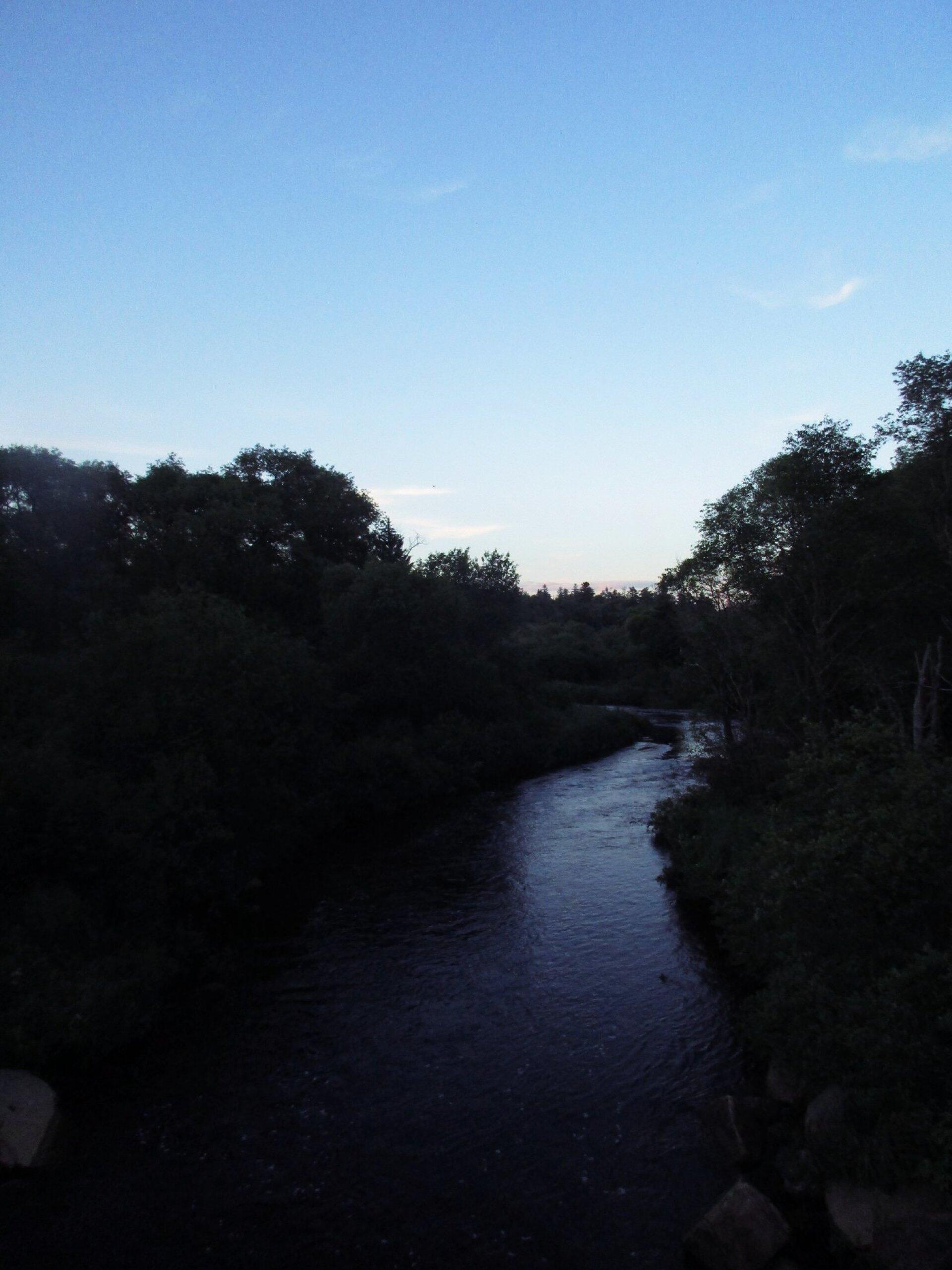 Photo Moose River Andy