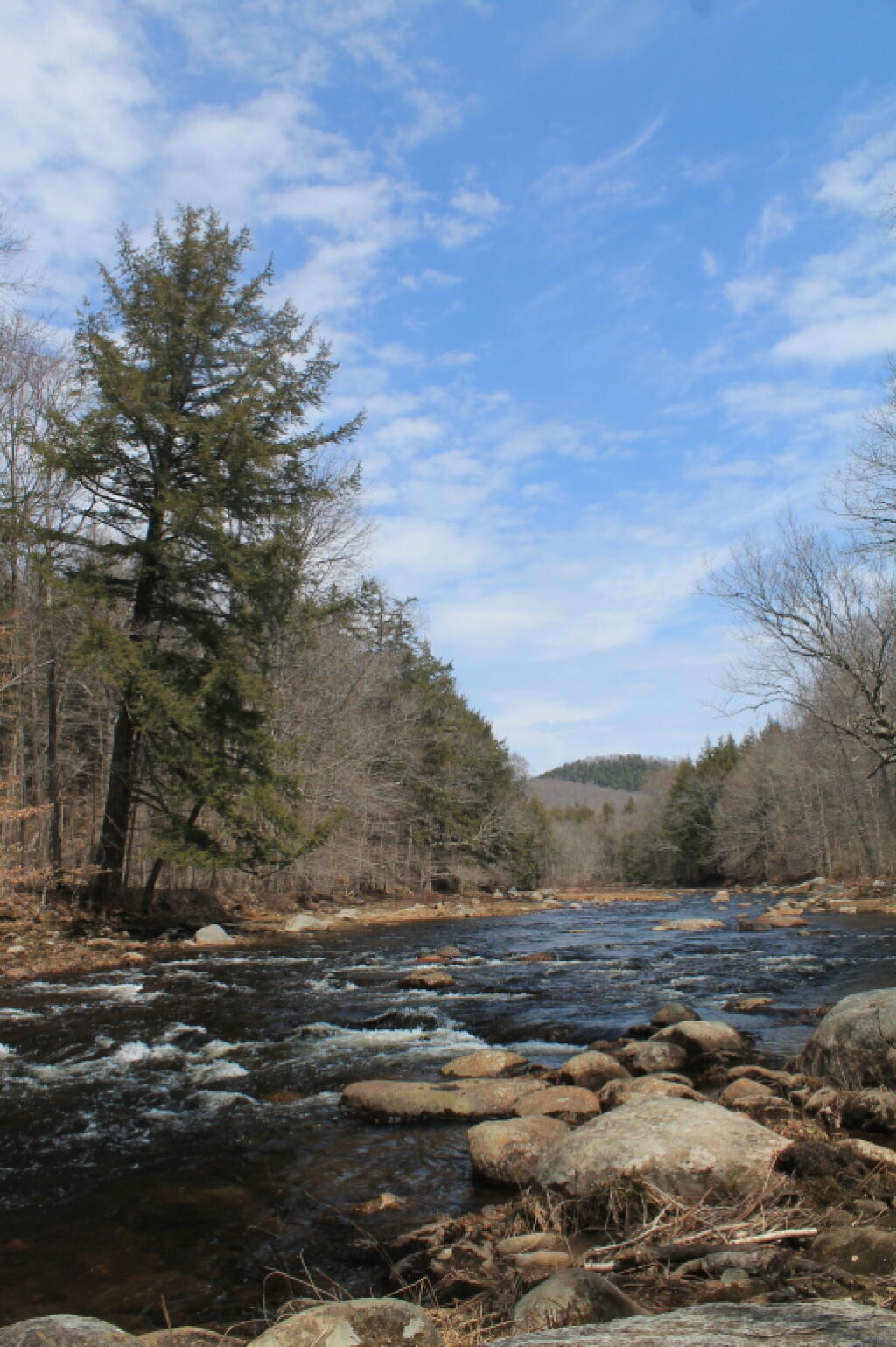 East Stony Creek Andy