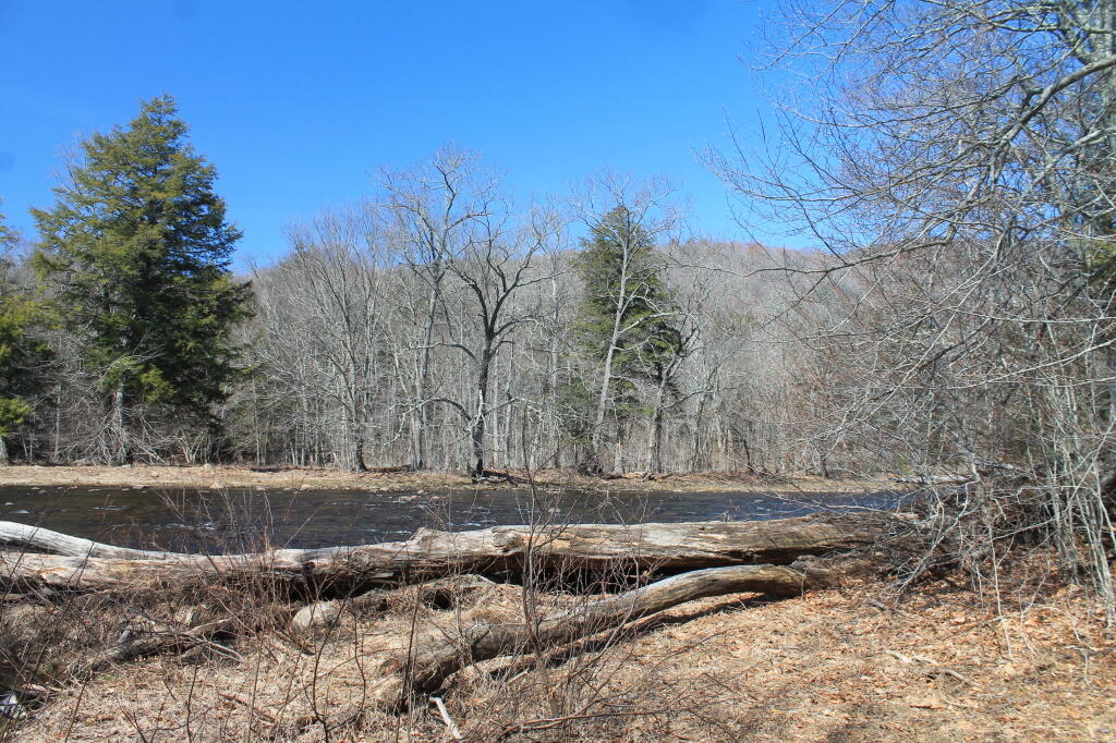 East Stony Creek Andy