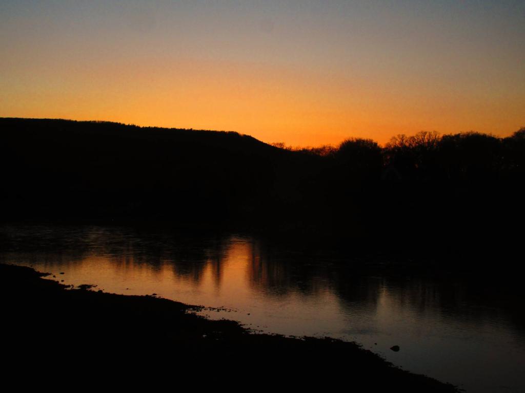 East Stony Creek Andy