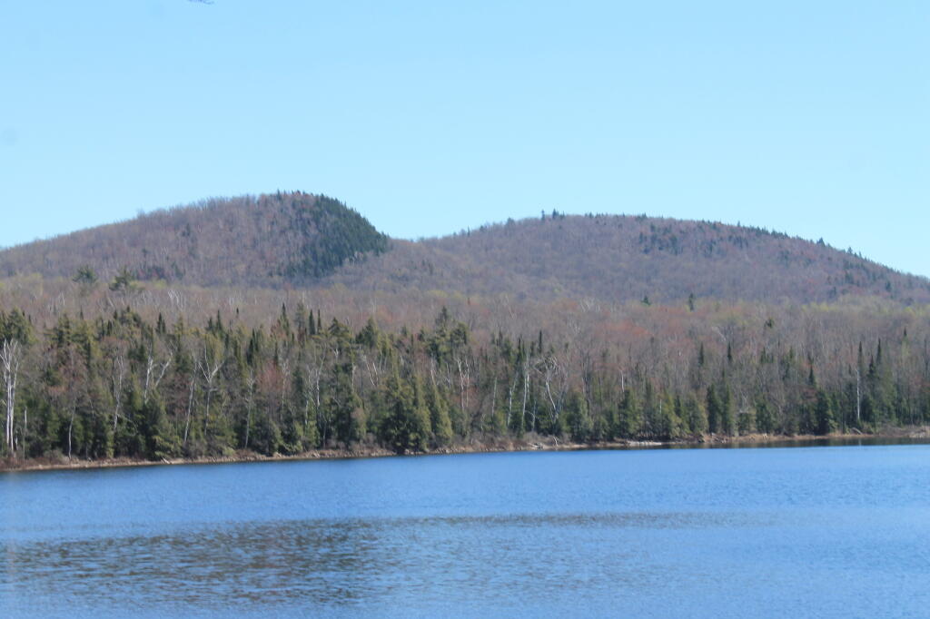 Thirteenth Lake Andy