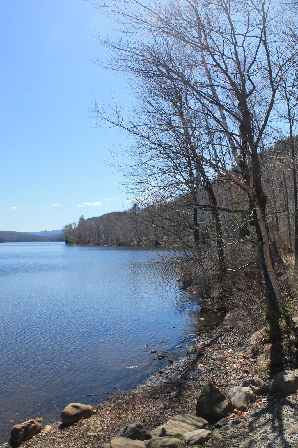 Thirteenth Lake Andy