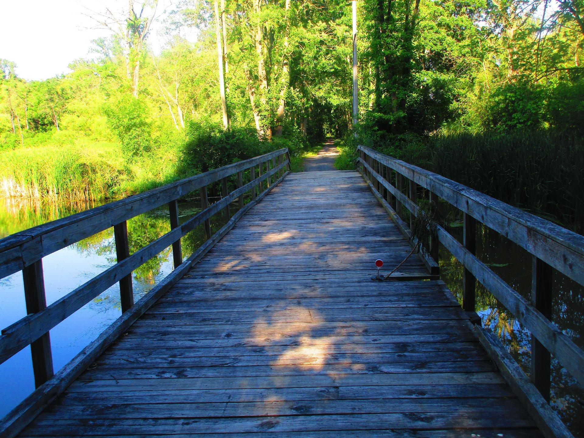 Photo Bridge on the Cayuta Seneca Cycleway Andy