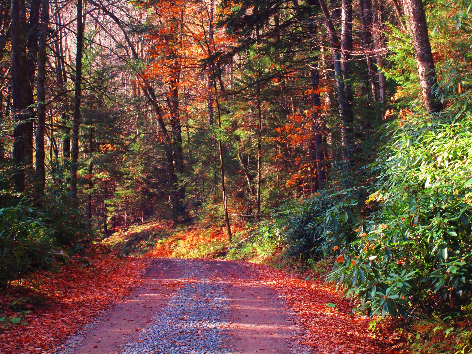Photo Canaan Loop Road Andy