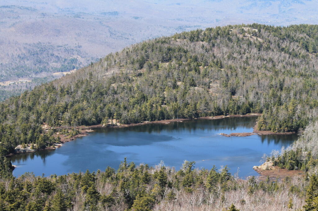 Photo Crane Pond Andy