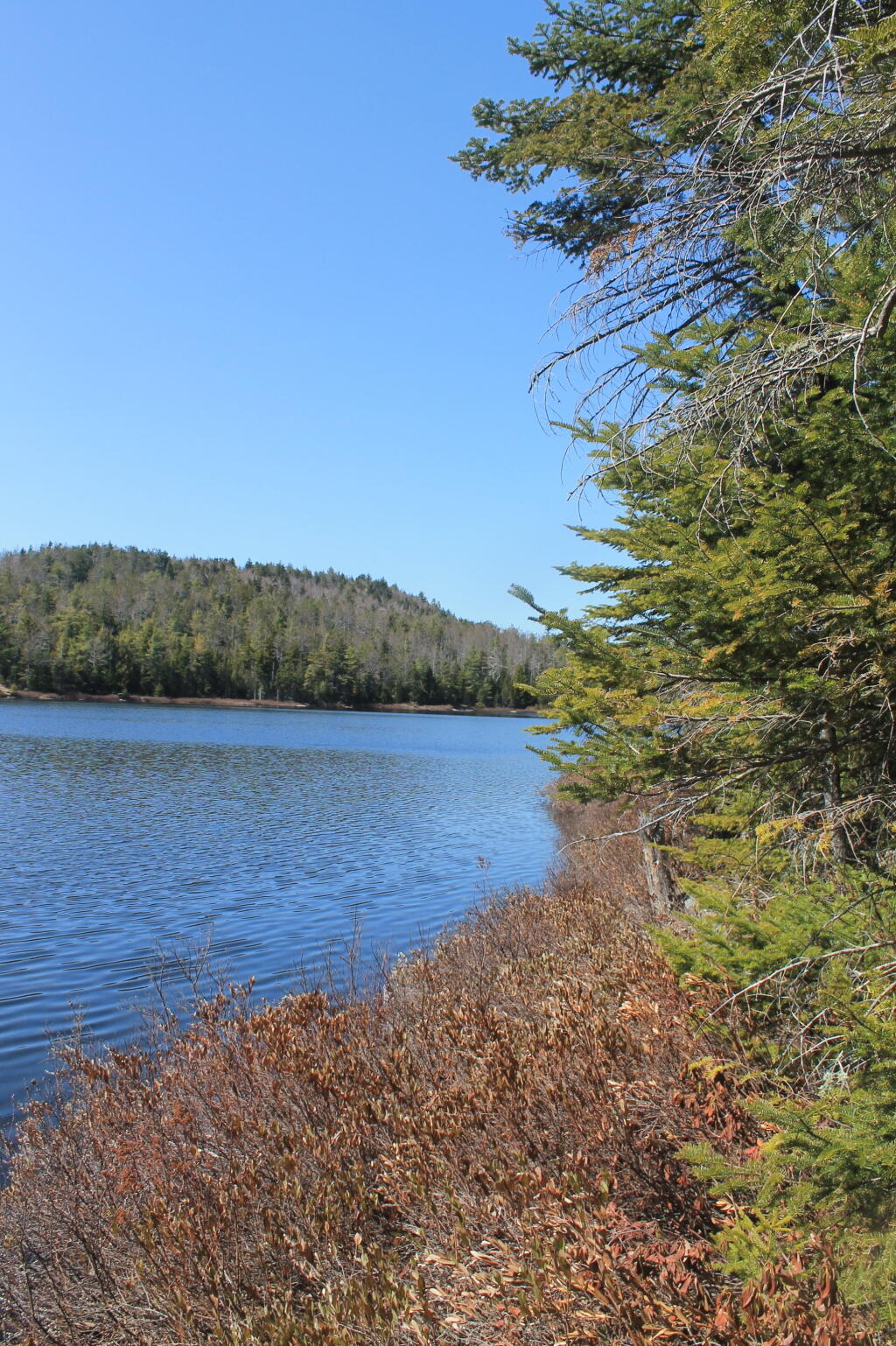 Photo Next to Crane Pond Andy