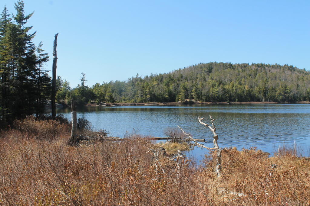 Photo Across Crane Pond to Crane Pond Hill Andy