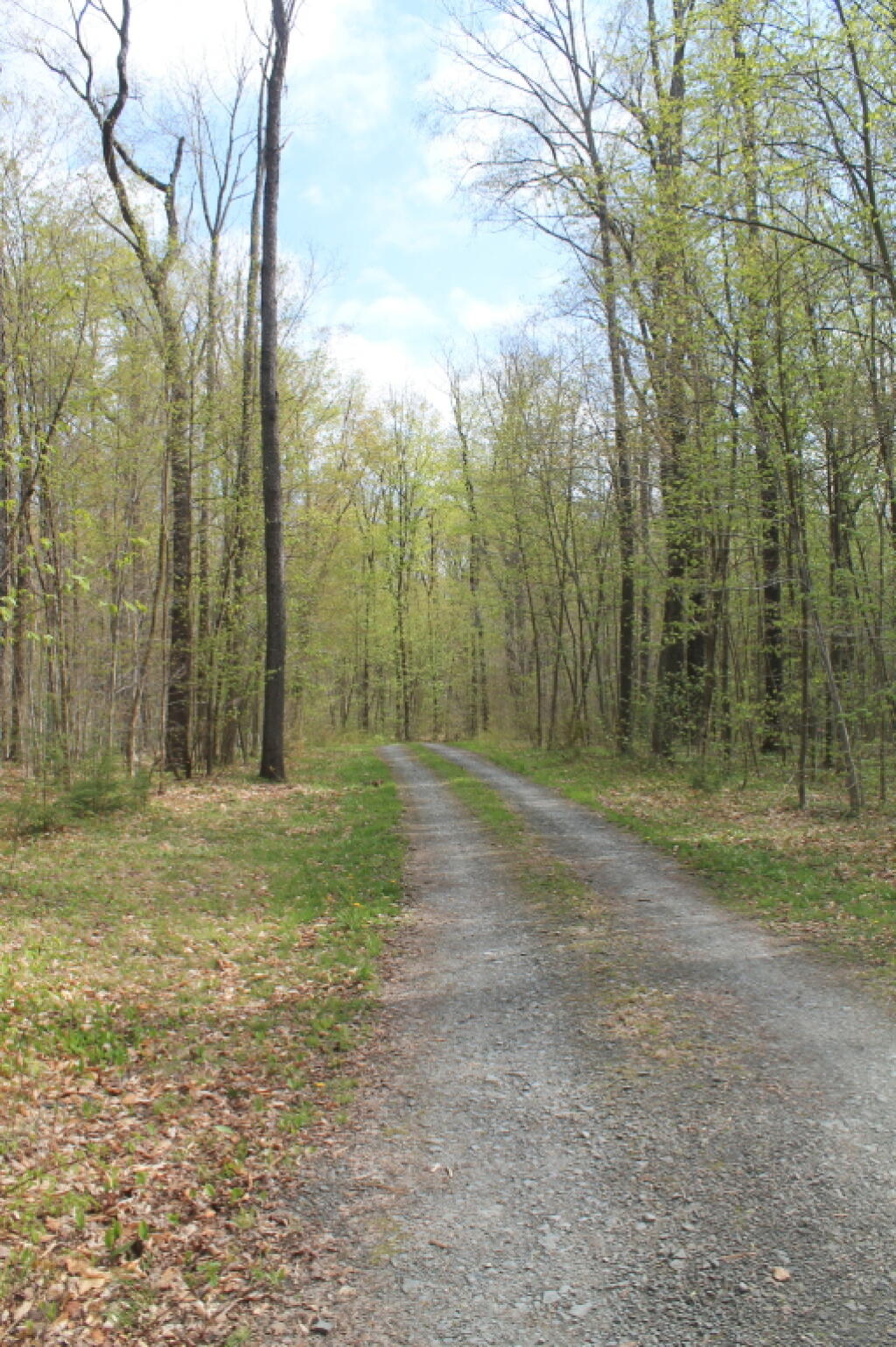 Charles Baker State Forest Andy