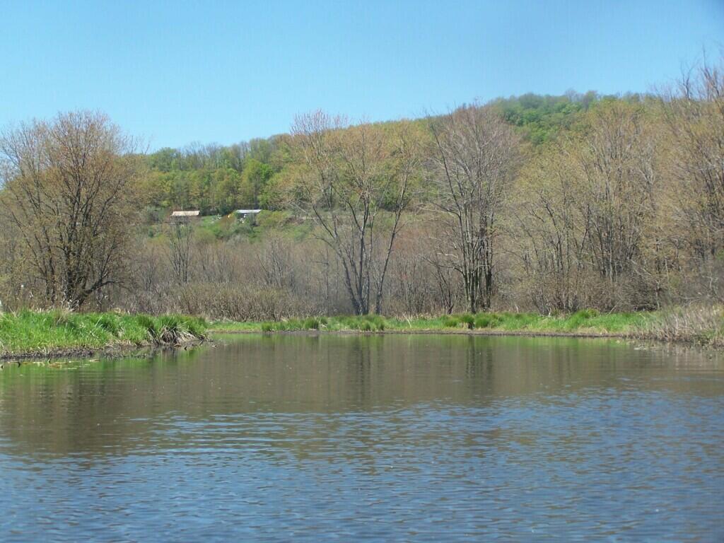 Nine Mile Swamp Maps, Photos, Videos, Aerial Photography, Charts