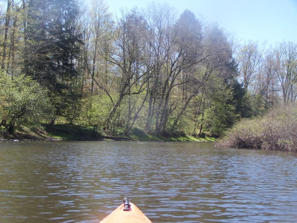 Nine Mile Swamp Maps, Photos, Videos, Aerial Photography, Charts