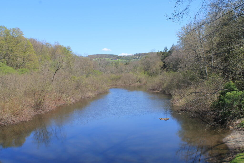 Nine Mile Swamp Maps, Photos, Videos, Aerial Photography, Charts