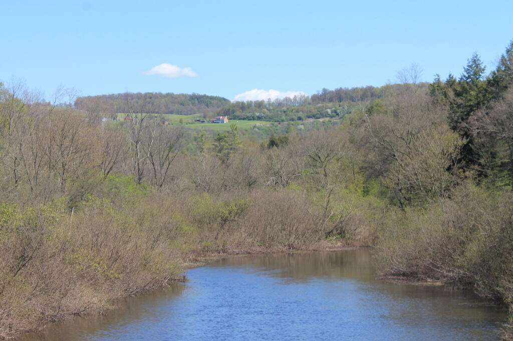 Nine Mile Swamp Andy