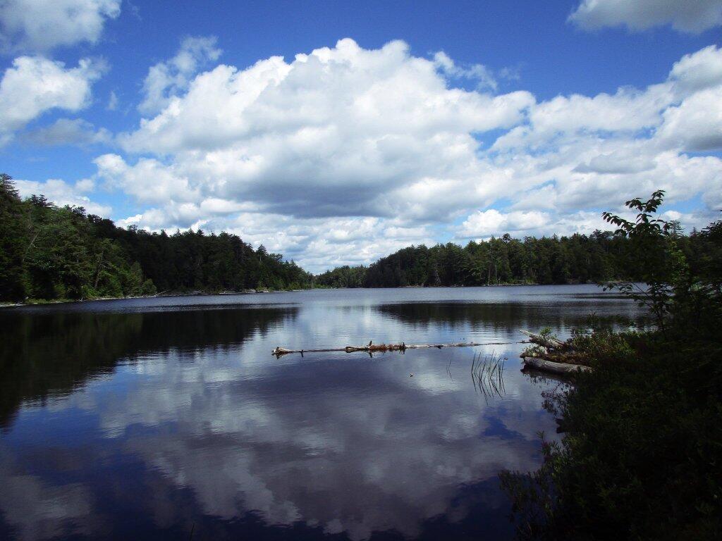Pigeon Lake Wilderness Andy