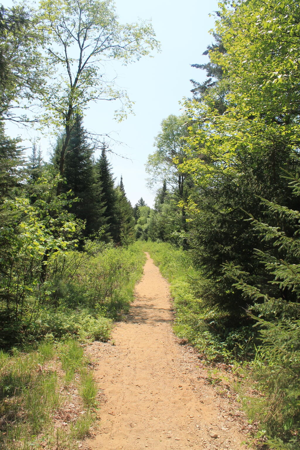 Photo Lost Ponds Road 3 Andy