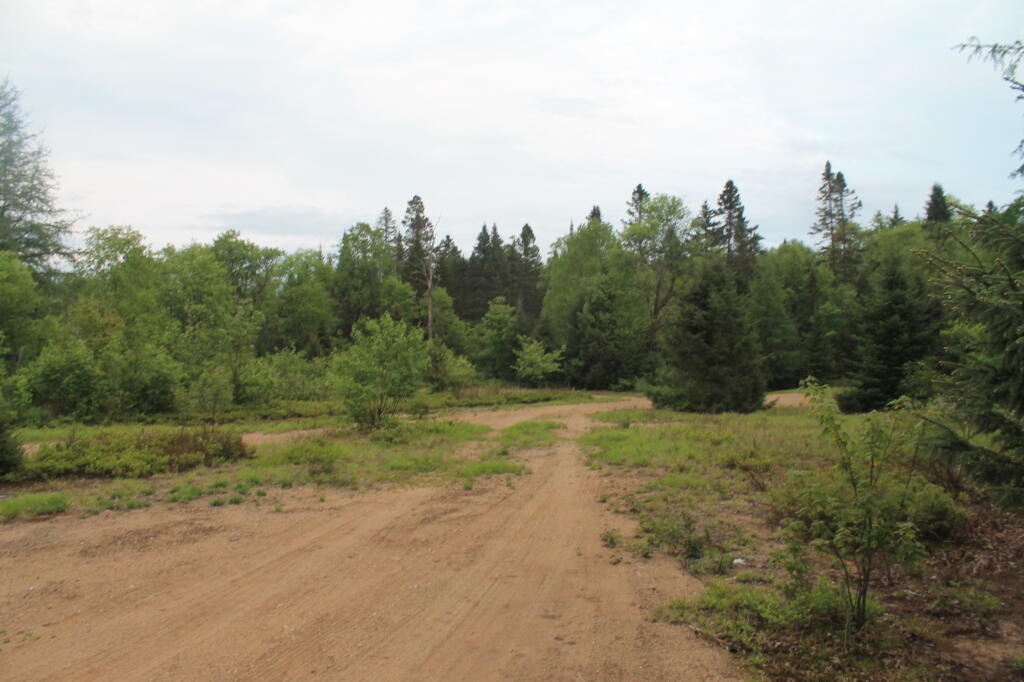 Photo Old Moose River Plains Dump Andy