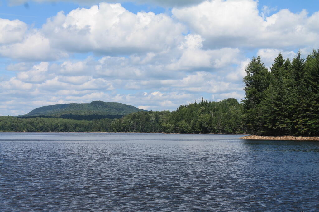 Herkimer County Andy
