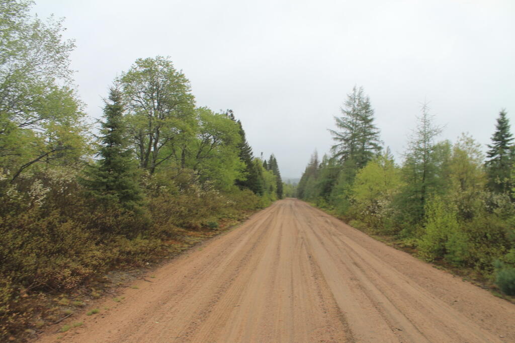 Photo Cedar RiverLimekiln Lake Road Near Helldiver Pond Andy