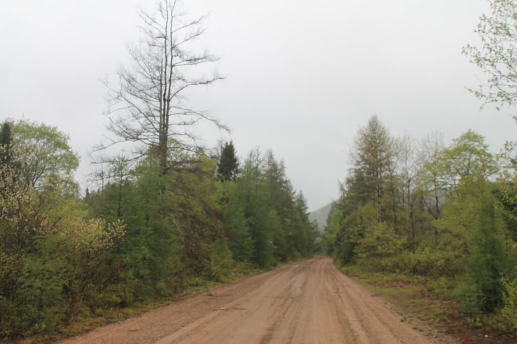 Photo When Cedar RiverLimekiln Lake Road Was Smooth Andy
