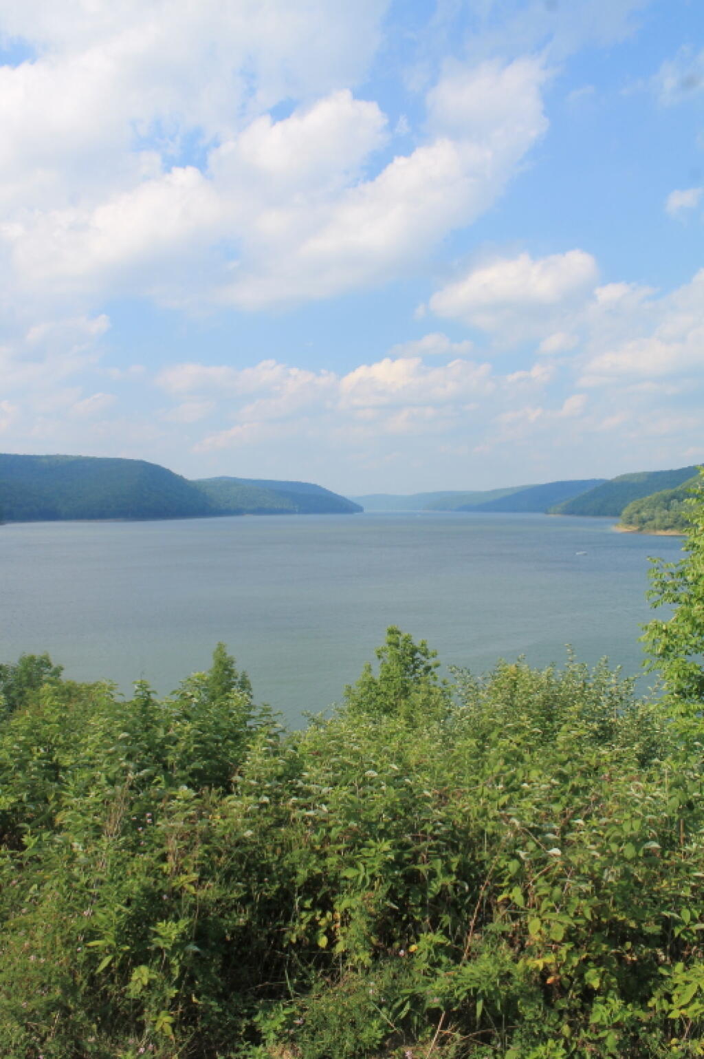 Kinzua Point Andy