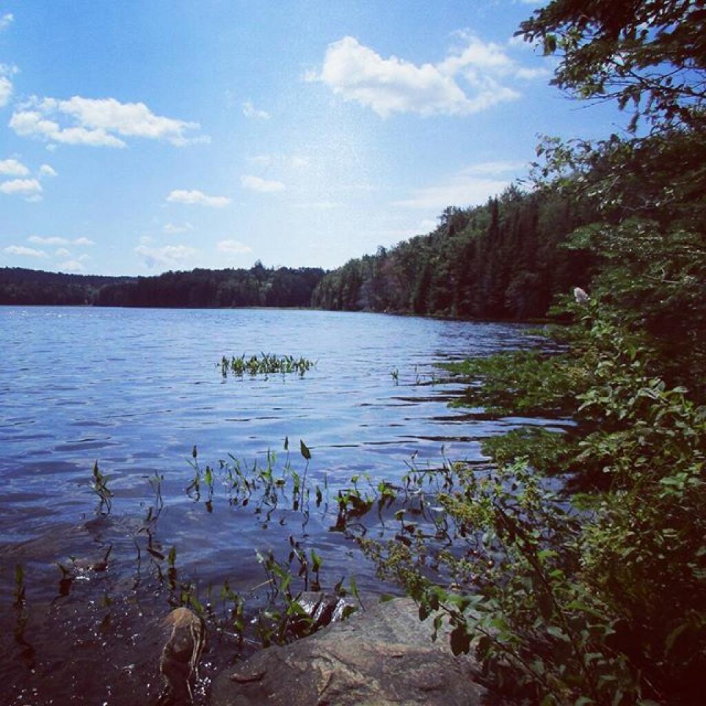 Photo Sand Lake Andy