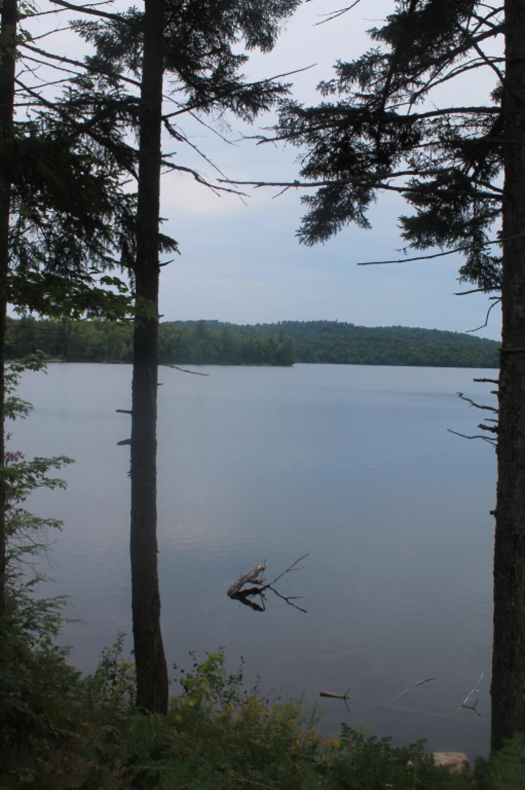 Horseshoe Lake Maps, Photos, Videos, Aerial Photography, Charts