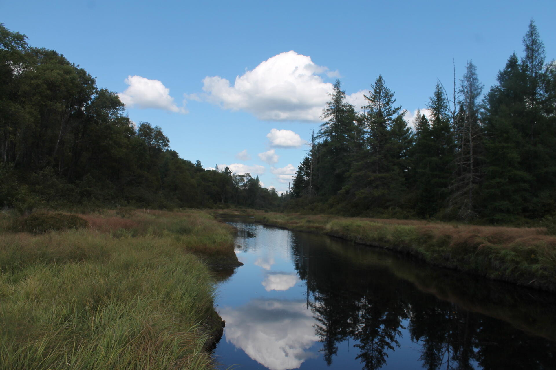 Photo Red River Andy